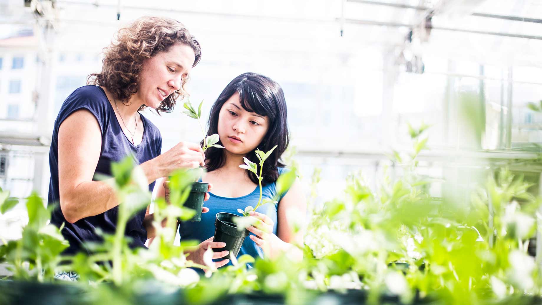 instructor and student examine plants in a greenhouse