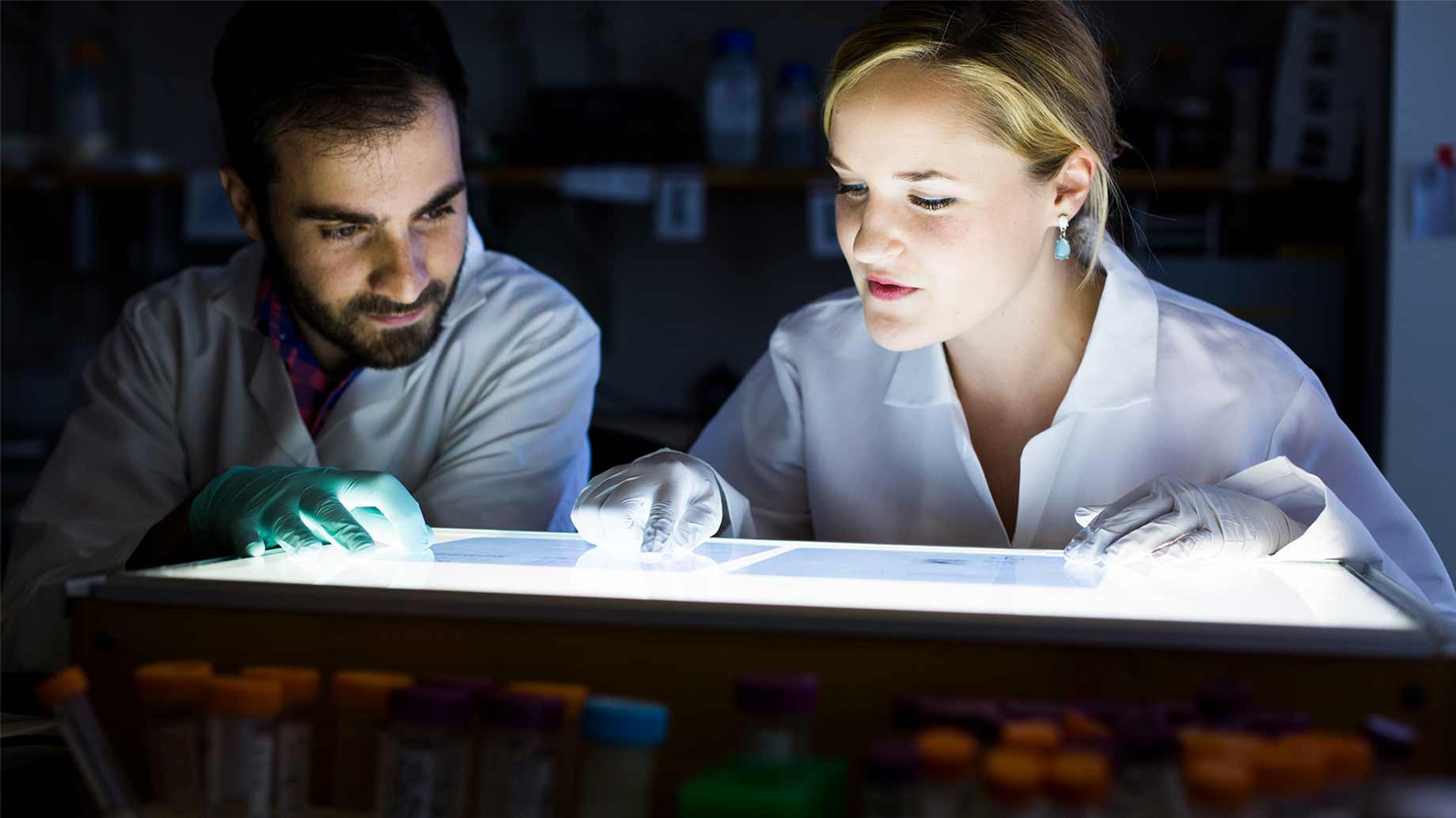 a man and woman examine transparencies on a lightbox