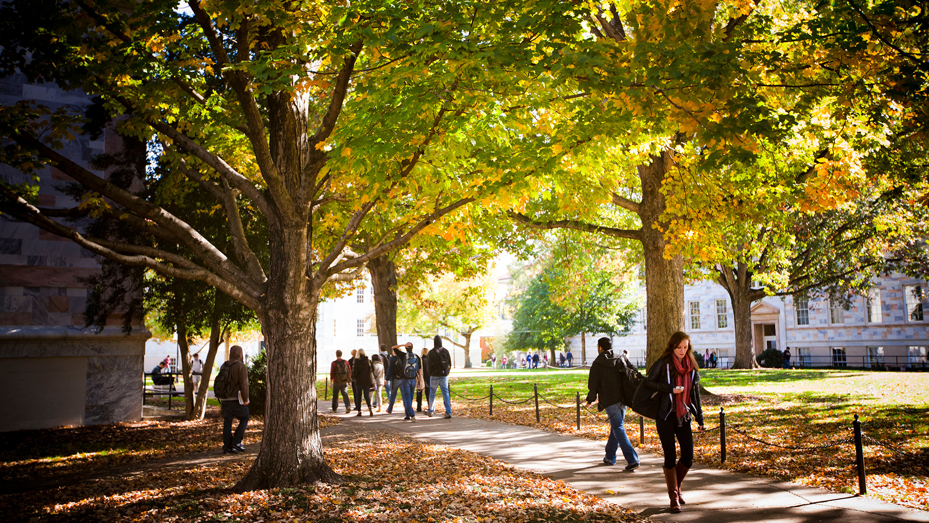 students walking on Emory's Atlanta campus in the fall