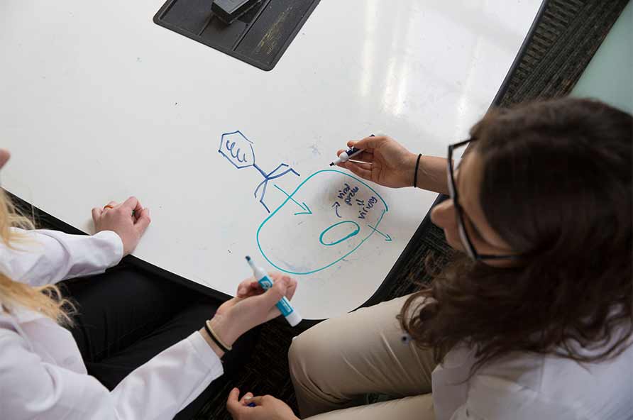 two students draw notes on a whiteboard table